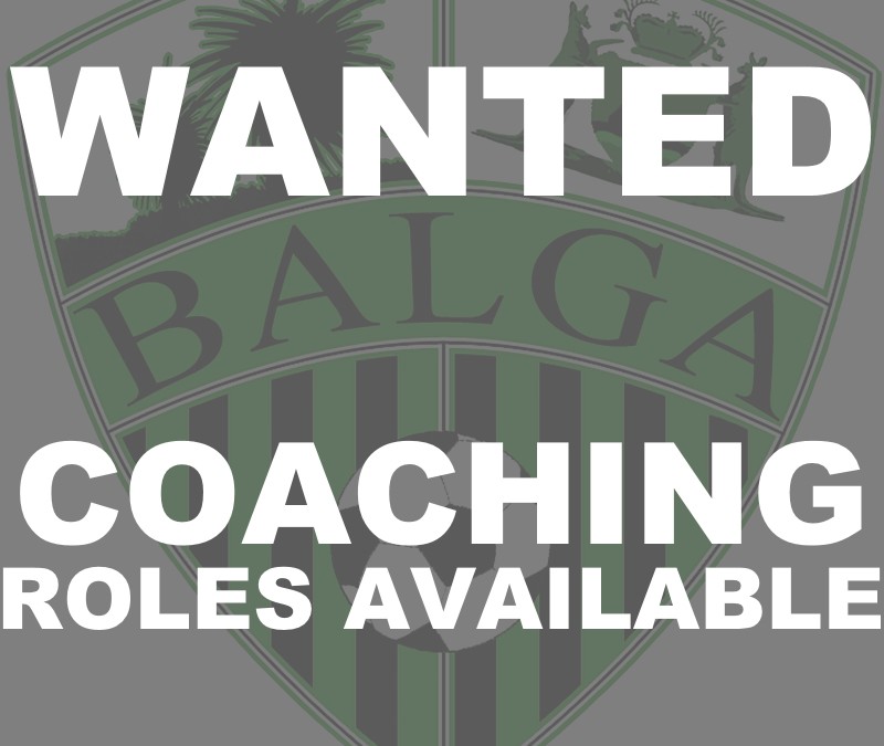 Coaching Roles Available